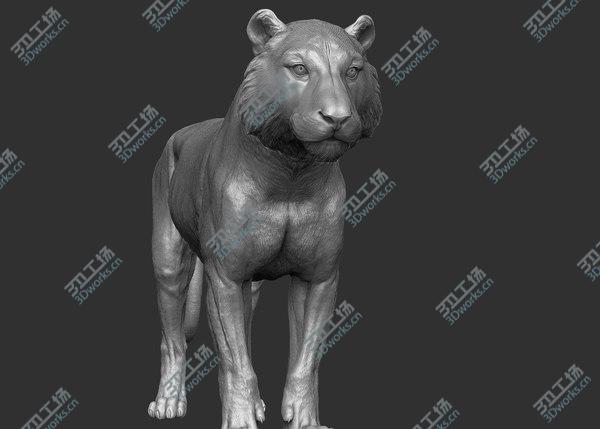 images/goods_img/20210312/3D Tiger model/4.jpg